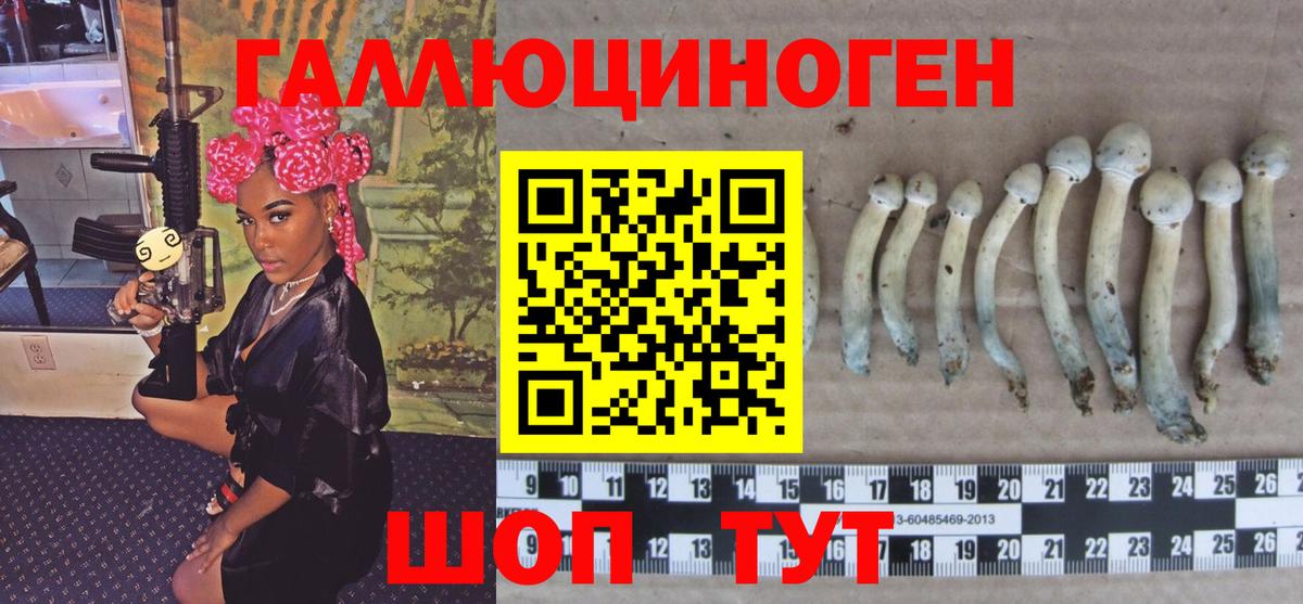 Долгопрудный  Галлюциногенные грибы GOLDEN TEACHER  Вход с VPN  Псилоцибиновые грибы прущие грибы 