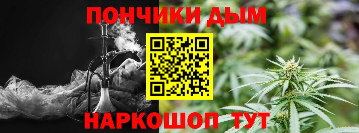 Шишки марихуана план Долгопрудный